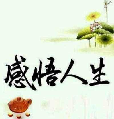 简朴生存，不为物役