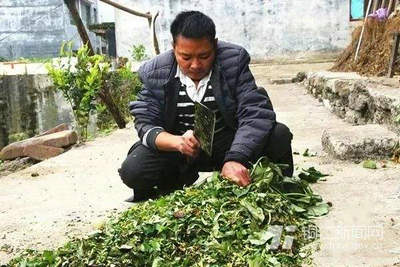 最新搞笑最新个性签名 我和暑假手拉手