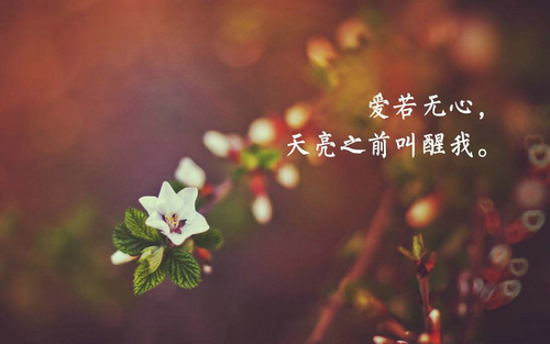 最全的好听的女生微博网名优雅 抛空的日记