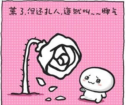 你连早起都做不到，还指望能做什么