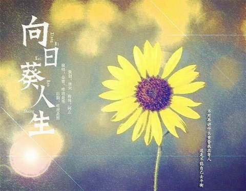 过分善良，没人体谅！