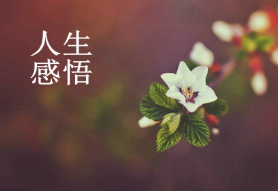 或许是我真的放不下 才一次次的烦你..