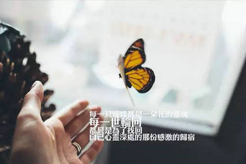 你不懂我的时候，就算我把我心掏给你看，你也看不懂