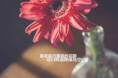 让你在社交聊天中更自如的13个方法