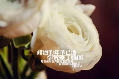 微信洞穿内心的心情短语