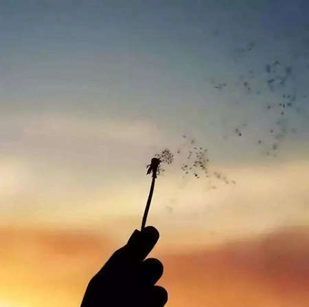 父亲节暖心说说一句话 2020父亲节说说抖音最火