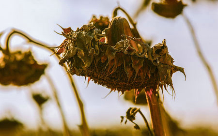 离别的伤感签名,所有离开都是蓄谋