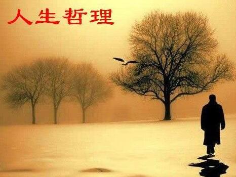 你会回忆我们的曾经吗