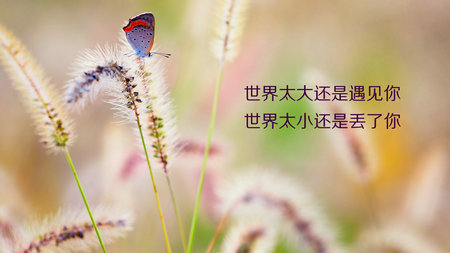 非主流个性网名_夜太放肆
